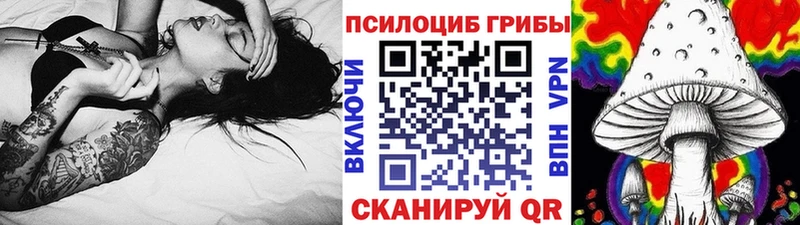 закладки  ОМГ ОМГ   Псилоцибиновые грибы Psilocybine cubensis  Карталы 