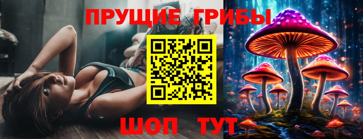Галлюциногенные грибы MAGIC MUSHROOMS  Вход с VPN  Карталы 