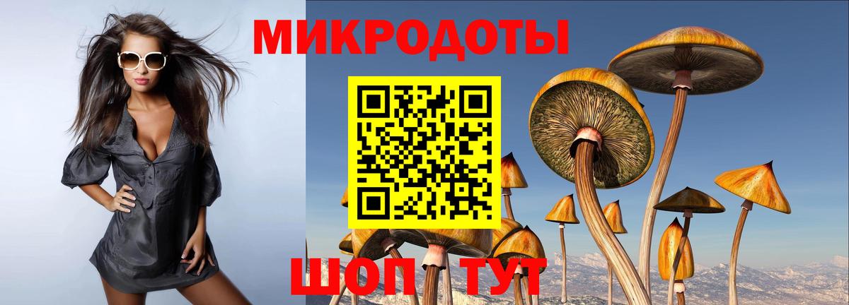 Псилоцибиновые грибы Psilocybine cubensis Карталы